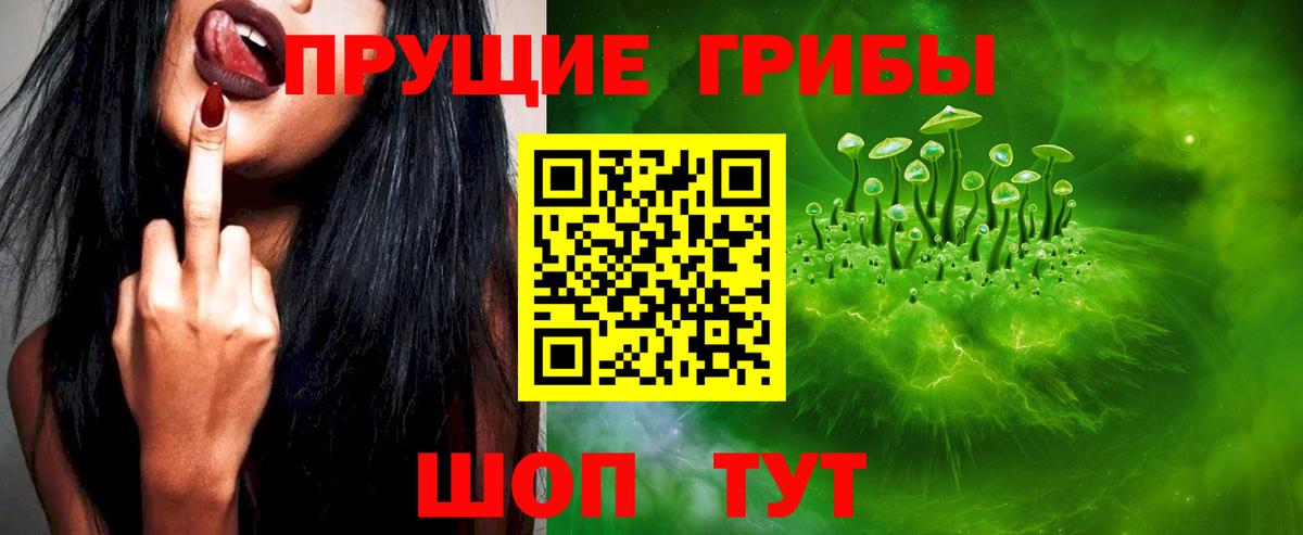 Псилоцибиновые грибы мицелий  Галлюциногенные грибы Psilocybe  Вход с VPN  Алапаевск 